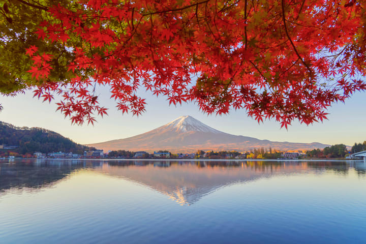 Tur Sehari Penuh Tokyo, Gunung Fuji, dan Danau Kawaguchi