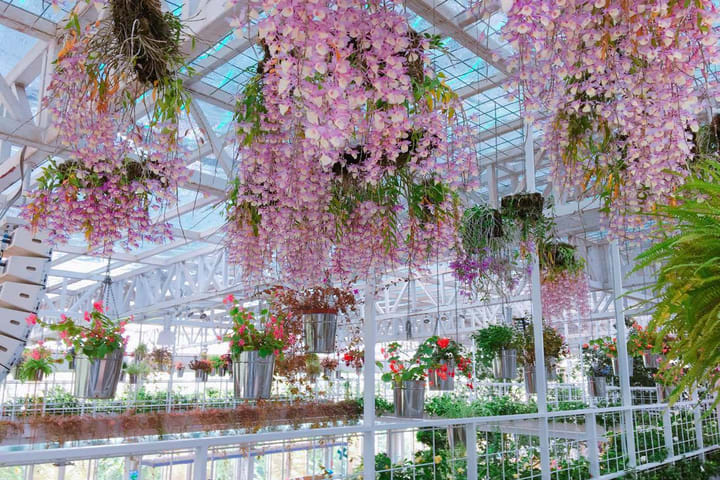 Artemis Garden Ticket in Yilan