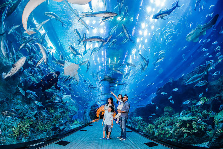迪拜水族馆 & 水下动物园门票