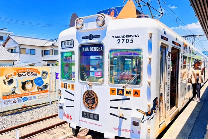 Wakayama・Shirahama｜Pengalaman Kereta Kucing Kepala Stasiun Kishi・Shirahama Senjojiki・Sandanbeki Tur Sehari｜Keberangkatan dari Osaka