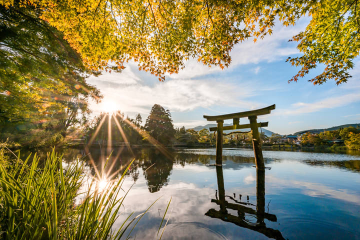 Tur Sehari Fukuoka Yufuin & Kuil Dazaifu Tenmangu