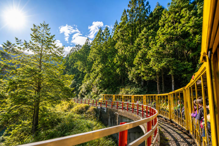 Taipingshan & Jiuzhize Hot Springs Day Tour from Taipei or Yilan