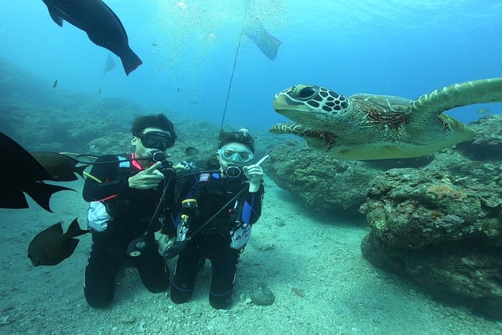 熊潛水 Bear Diving - Kursus PADI Open Water Diver di Xiao Liuqiu