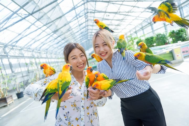 静冈挂川花鸟园门票