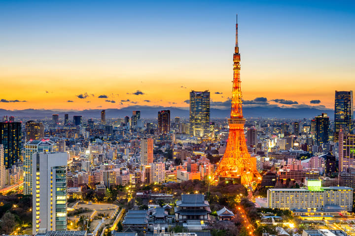 Tokyo City, Private and Customized City Exploration Walking Day Tour