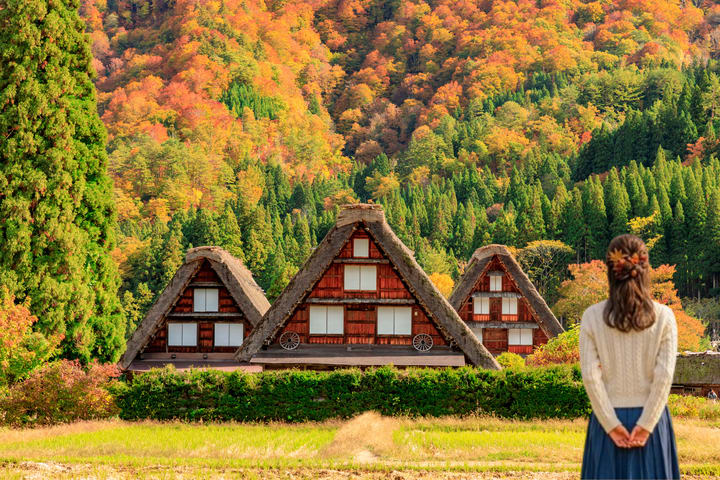 Tur Sehari Shirakawa-go, Gujo Hachiman, dan Hida Takayama