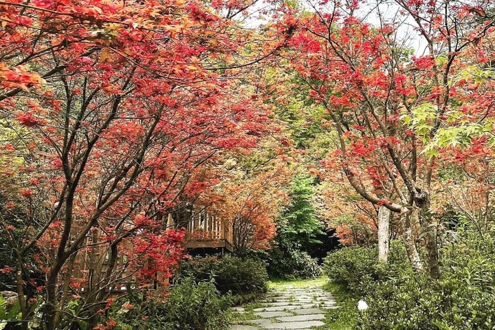 Tickets for Futianyuan Leisure Farm in Yangmingshan, Taipei