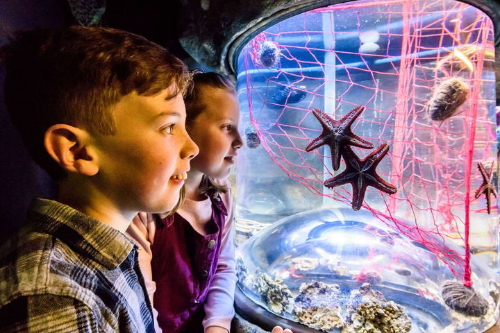 Tiket SEA LIFE Brighton