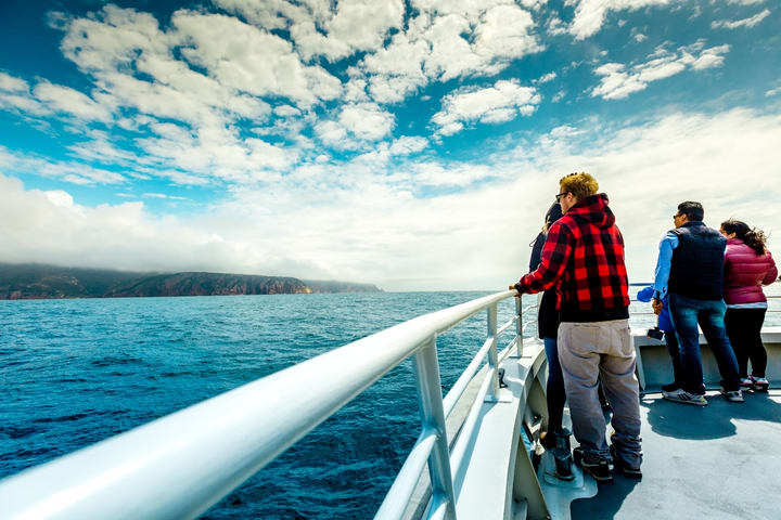 Coles Bay ke Wineglass Bay Sightseeing Cruise