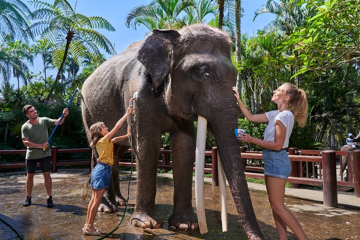 Jumbo Wash di Mason Elephant Park di Bali