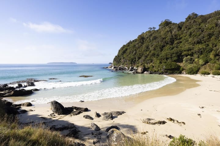 Village & Bays Tour