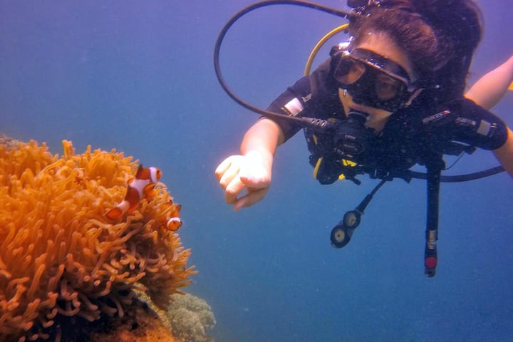 Tunku Abdul Rahman Park Scuba Diving Adventure