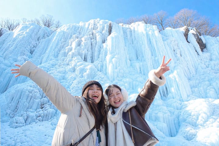 南怡岛 & 峨嵋山冰谷 & 晨静树木园 & 羊驼 & 雪岳山冰雕