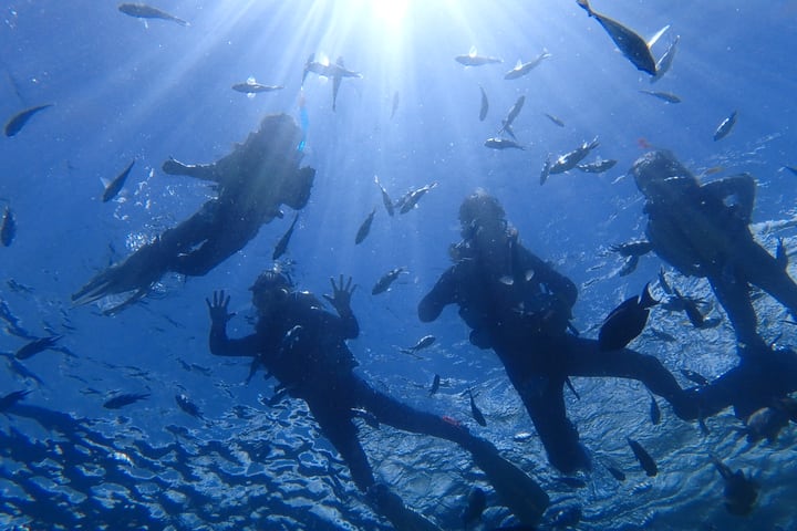 Jepang Okinawa｜Snorkeling Gua Biru｜Pelatih Bahasa Mandarin & Inggris! Pengambilan Gambar GoPro & Gratis Pemberian Makan Bawah Air