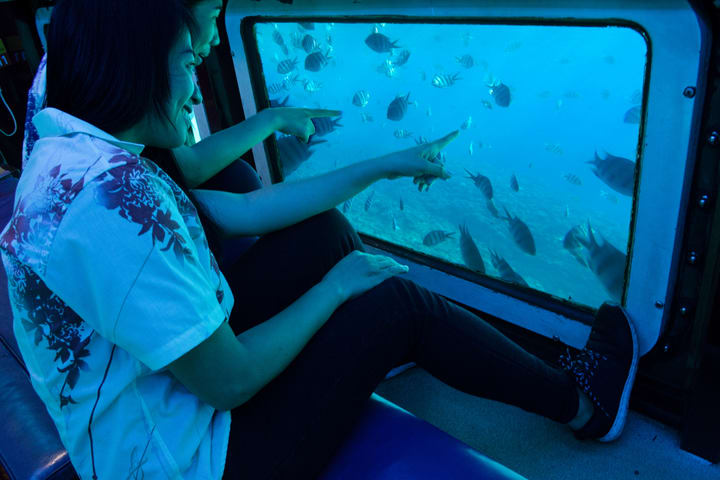 Glass Bottom Boat Tour di Okinawa