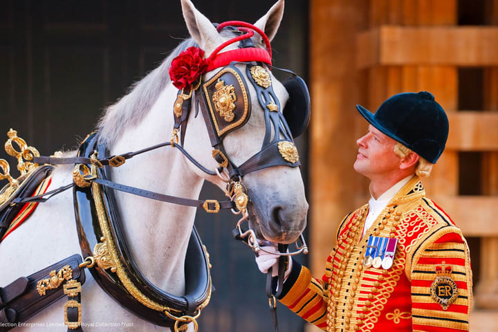 The Royal Mews Ticket at Buckingham Palace