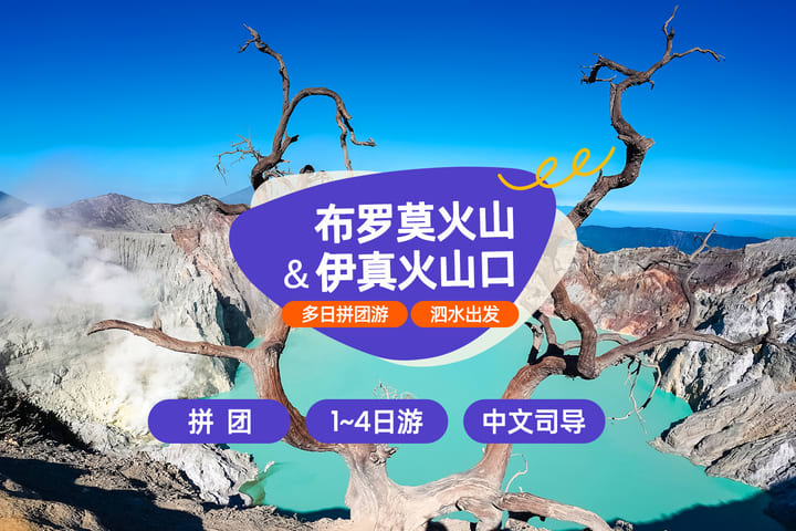Multiday Tour Bersama ke Gunung Bromo & Ijen dari Surabaya