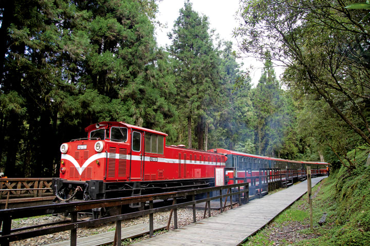 Sun Moon Lake & Alishan Private Guided 3-Day Tour