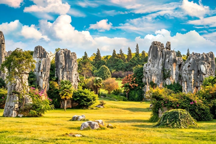 Tur Sehari Hutan Batu Kunming (Tur Kelompok)