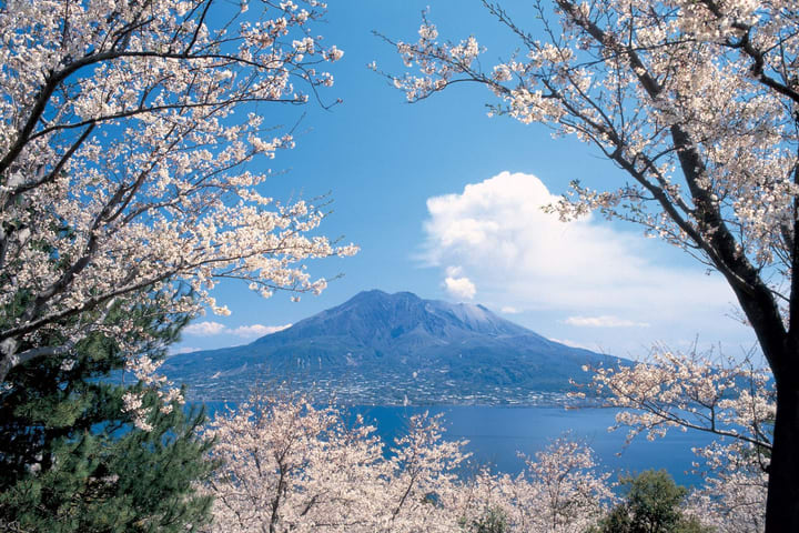 鹿儿岛樱岛半日火山之旅
