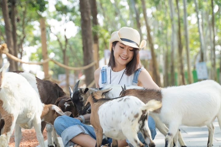 Tickets for Meimea Shangshu Cute Pet Paradise