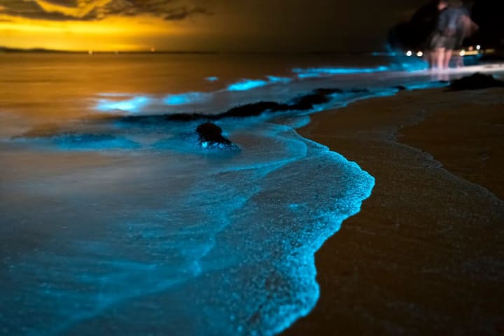 Phuket: Phang Nga Bay Bioluminescent Plankton and Sea Canoes