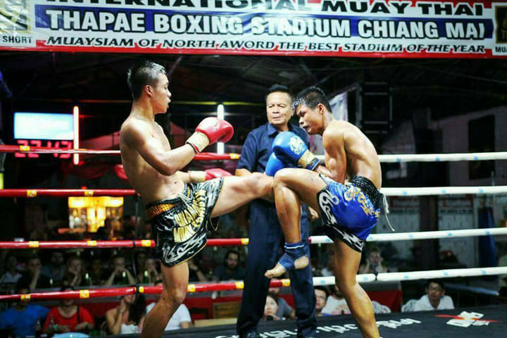 Chiang Mai Thaphae Boxing Stadium Ticket