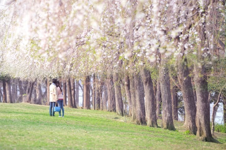 Tiket Nami Island