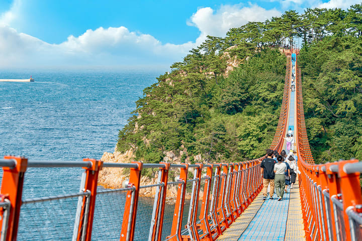 Busan Gyeongju UNESCO Small Group Full-Day Tour