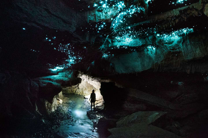 萤火虫洞秘境之旅 - Down to Earth Waitomo