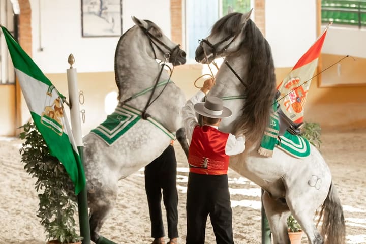 Andalusian horse and Flamenco show in Torremolinos