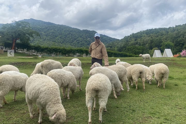 Day Tour Mae kampong/ Pemandian Air Panas / Monjam / Hutan Pongyang/Botonic
