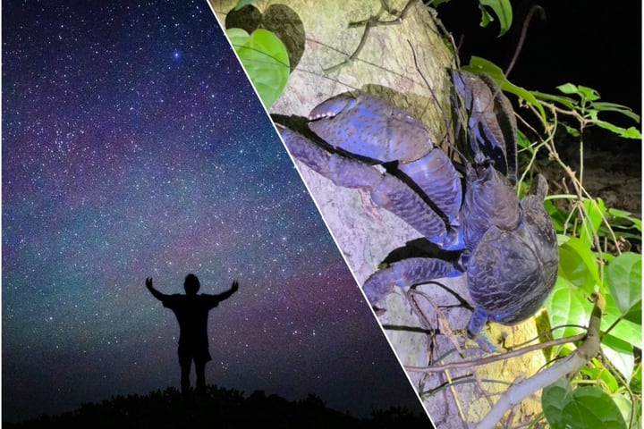 宫古岛：在星空下和夜晚探索丛林