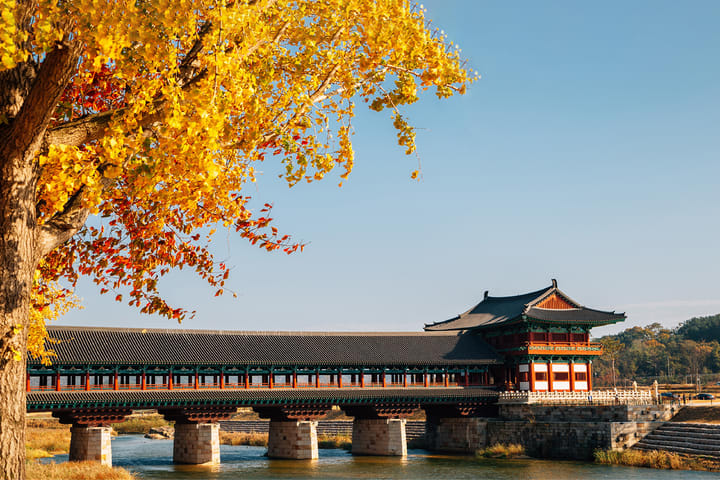 Gyeongju Autumn Foliage Day Tour dari Busan