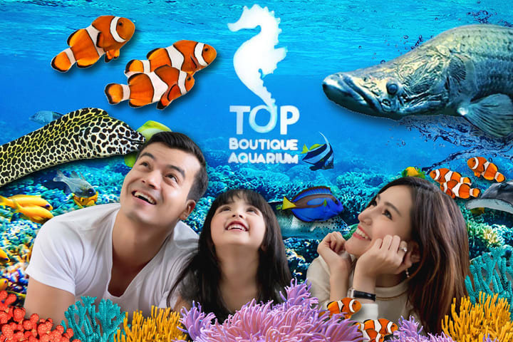 Boutique Aquarium Ticket at The TOP Penang