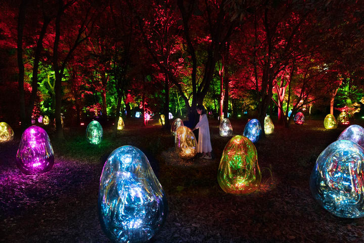 teamLab Botanical Garden Osaka Ticket