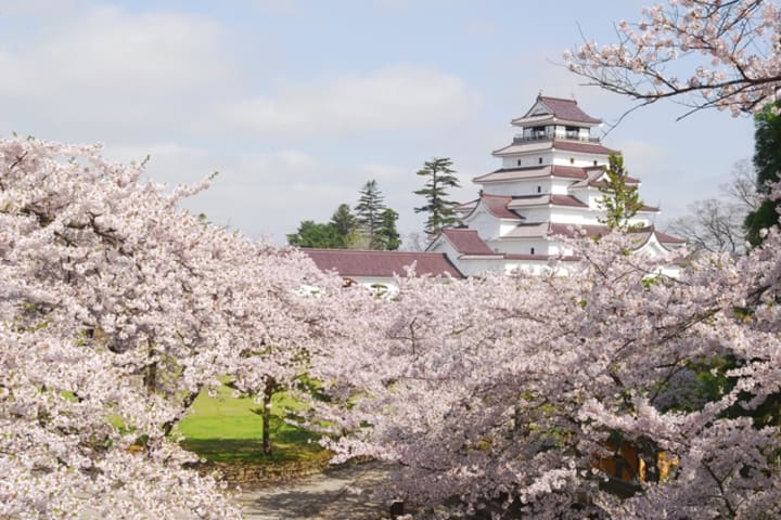 Tsurugajo Castle（Aizu-Wakamatsu Castle） Admission Ticket in Aizuwakamatsu