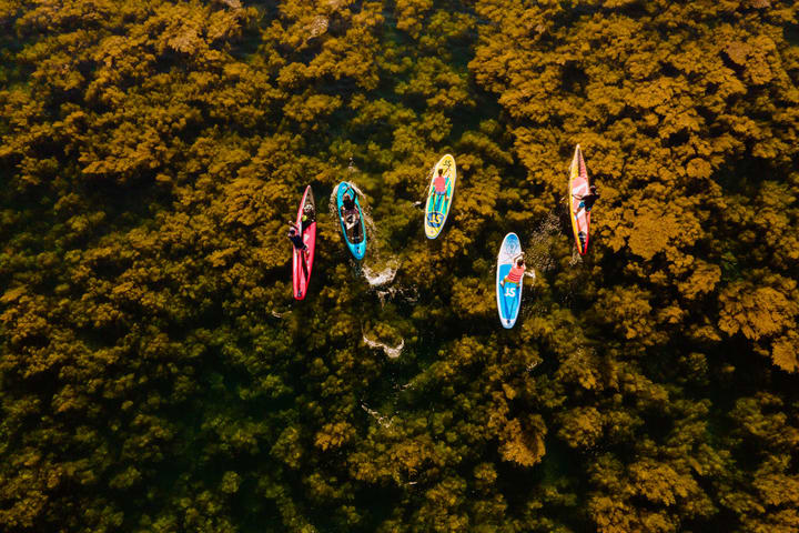 Half-day Private SUP Tour di Quy Nhon