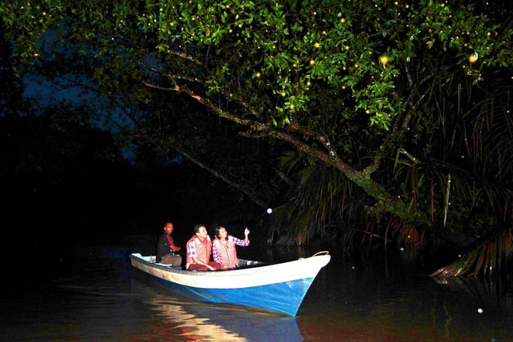 Tur Pedesaan Bohol dengan Pengamatan Kunang-kunang