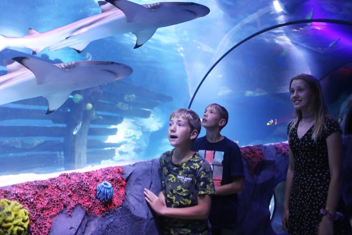 Tiket Sea Life Konstanz
