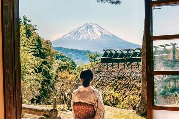 【富士山疗愈之旅｜可选午餐】新仓山五重塔&忍野八海&河口湖大石公园&西湖疗愈里根场一日游（东京出发）