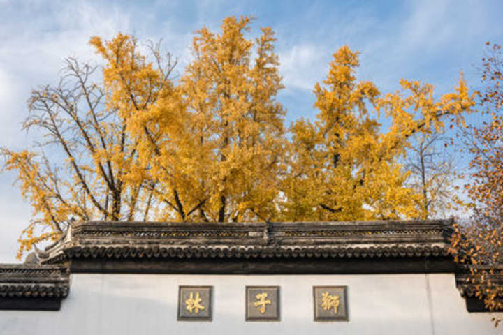 苏州狮子林门票