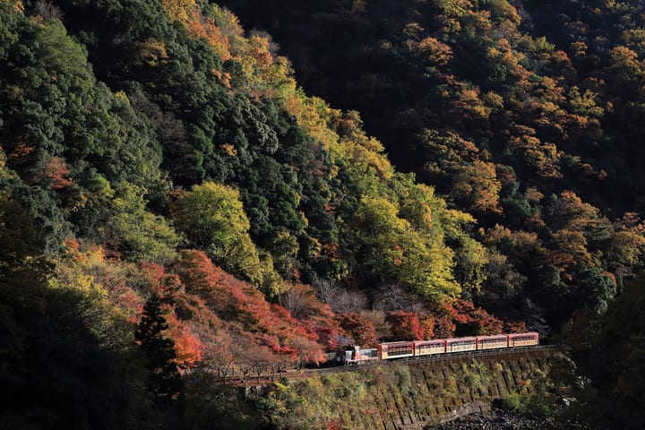 Arashiyama Tour dengan Pilihan Sagano Romantic Train