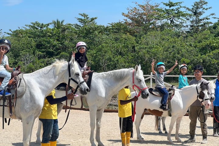 Countryside Stables Admission Ticket in Penang