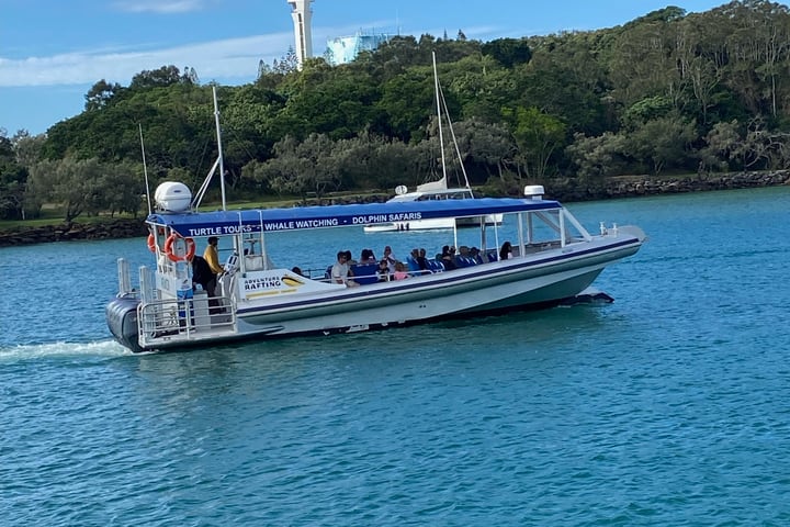 2 Hour Mooloolaba Whale Watching Experience