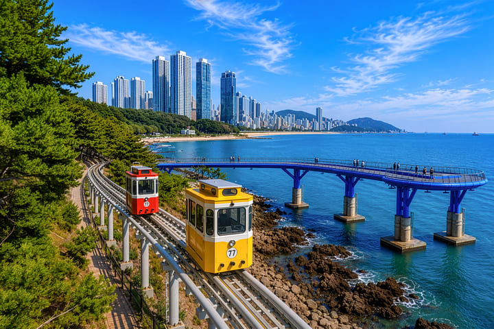 Busan City Charm 1-Day Tour