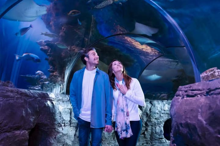 Sea Life Michigan: Entry Ticket