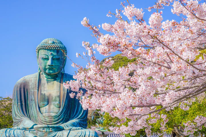 东京出发镰仓 & 江之岛一日游：鹤冈八幡宫、长谷寺、镰仓大佛 & 富士山美景