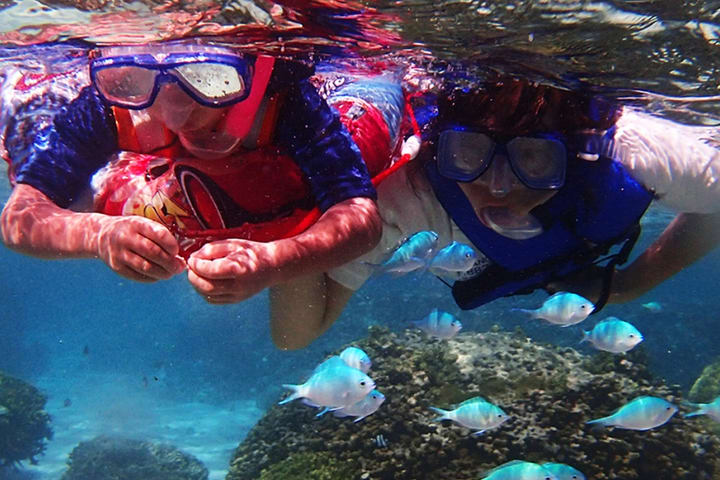 Tur Snorkeling atau Freediving Terpandu di Guam