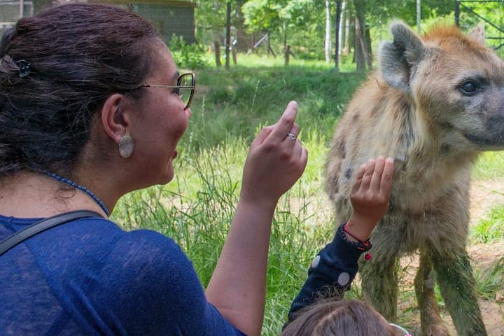Tiket Safari Thoiry di Prancis